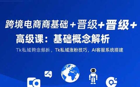 跨境电商基础+晋级+高级课：基础概念解析,Tk私域涨粉技巧,AI客服系统搭建