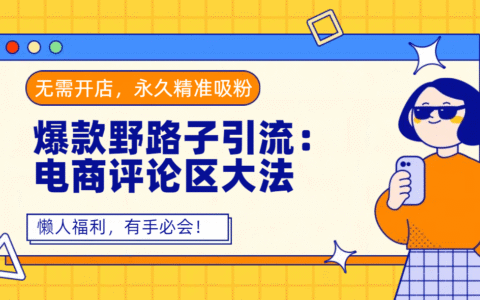爆款野路子引流：电商评论区大法，无需开店，永久精准吸粉，懒人福利，有手必会！