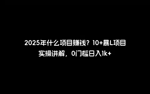 2025年什么项目赚钱？10+暴L项目实操讲解，0门槛日入1k+