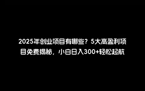 2025年创业项目有哪些？5大高盈利项目免费揭秘，小白日入300+轻松起航