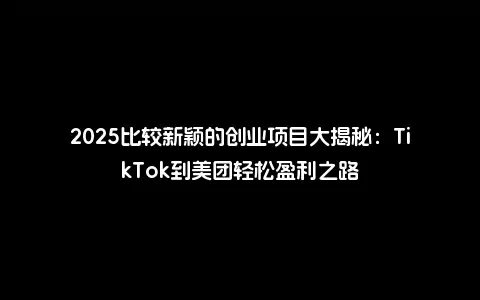 2025比较新颖的创业项目大揭秘：TikTok到美团轻松盈利之路