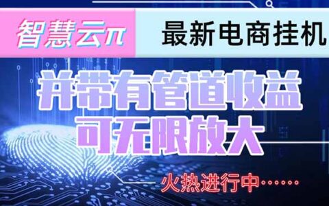 智慧云π电脑挂G单机每天收益300—500+ 并带有团队管道收益 可无限放大