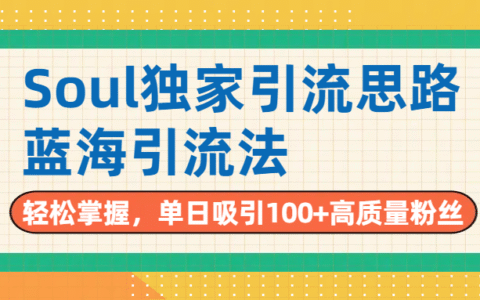 Soul独家引流思路，单日吸引100+高质量粉丝，蓝海引流法，轻松掌握
