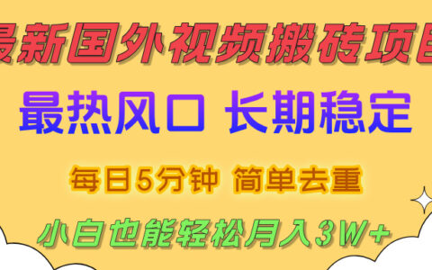 国外视频搬砖项目，2025最新热门风口，简单去重剪辑，小白也能轻松月入3W+