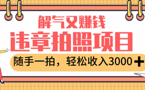 最新违章拍照赚钱，解气又赚钱的项目，随手一拍，轻松收入3000+