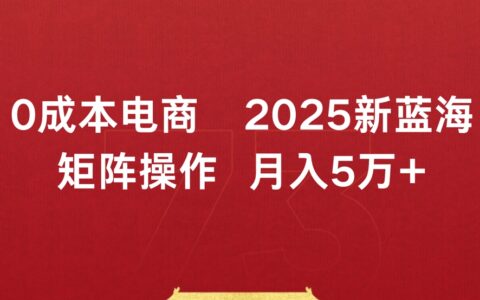 0成本电商2025新蓝海矩阵操作 月入5万+
