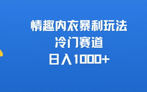 情趣内衣暴L玩法，冷门赛道，日入1000+