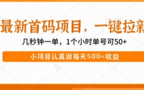 最新首码项目，操作最简单，收益高，一键拉新，1个小时单号可50+，小项目认真做每天5张+收益