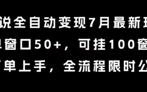 小说全自动变现7月玩法，单窗口50+，可挂100窗口，简单上手，全流程限时公布