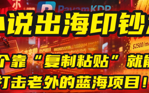小说出海印钞术：一个靠“复制粘贴”就能降维打击老外的蓝海项目！