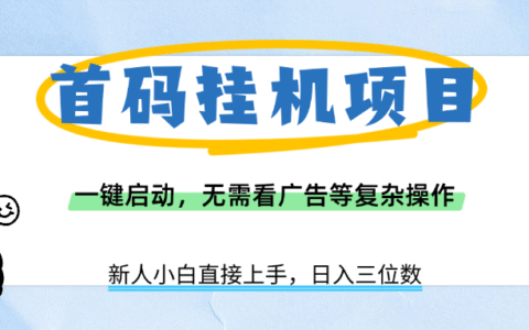 首码挂G项目，一键启动，无需看广告等复杂操作，新手小白日入三位数