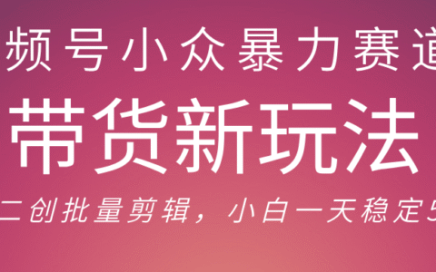 视频号小众爆栗赛道，最新带货玩法 小白也能轻松日入500+ 保姆及教程