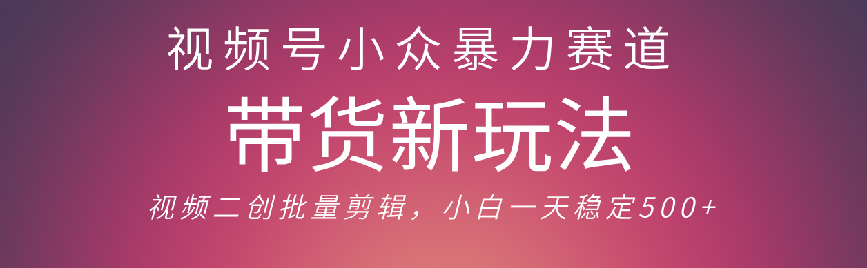 视频号小众爆栗赛道，最新带货玩法 小白也能轻松日入500+ 保姆及教程