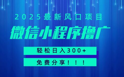 微信小程序撸广，最新风口项目，日入300+ 免费分享 可批量操作 小白可轻松上手！！