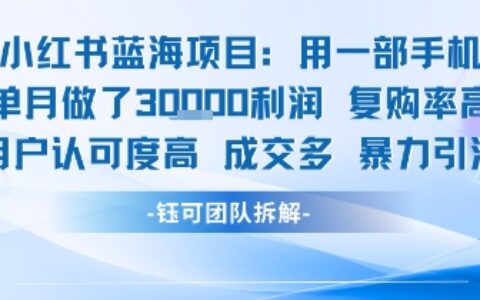 小红书蓝海项目，一部手机单月做了3W利润，小白也能月入过1W用户认可度高成交多