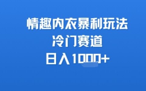 情趣内衣暴L玩法，冷门赛道，日入1k+
