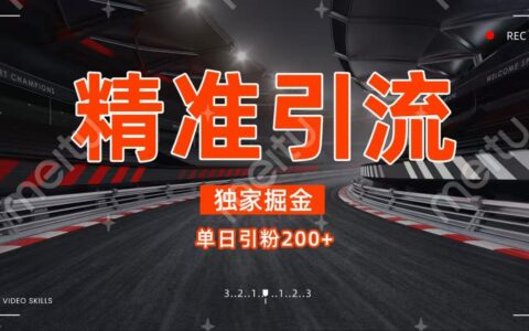 独家野路子精准引流 每日200+