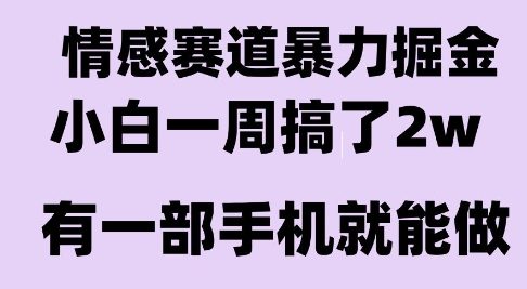 情感爆栗掘金项目，新人操作一周挣了2W，长期稳定小白可做