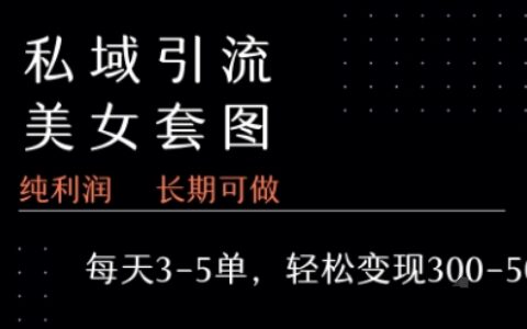 私域卖套图每天3-5单   每单利润99-2张+