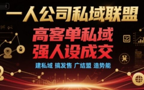 一人公司私域联盟，高客单私域，强人设成交，建私域 搞发售 广结盟 造势能