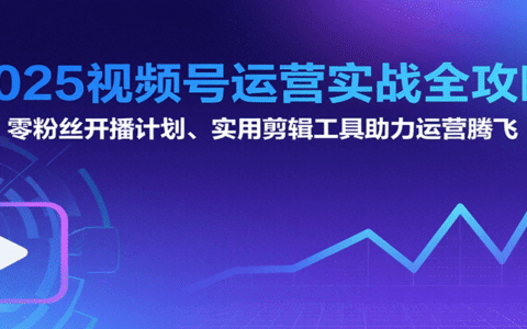 2025视频号运营实战全攻略：零粉丝开播计划、起号到到变现思维逻辑方法