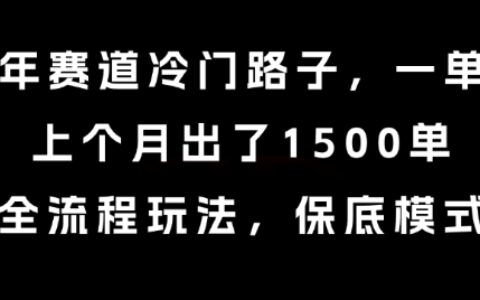 中老年赛道冷门路子，一单788，上个月出了1500单，全流程玩法，保底模式