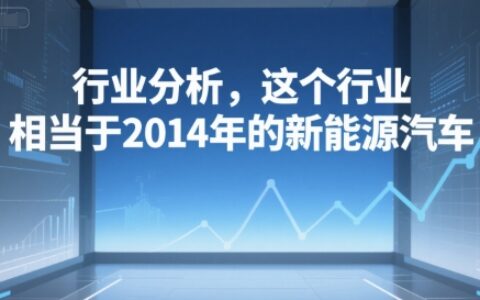 付费文章：行业分析，这个行业，相当于2014年的新能源汽车