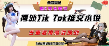 海外tiktok小说推文爆栗项目，高停留率，高转化率，上手后一天搞顿饭钱不是问题