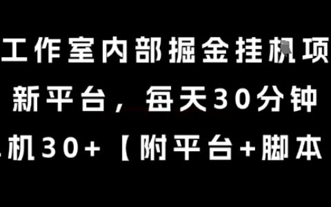 某工作室内部掘金挂G项目，新平台，每天30分钟，单机30+