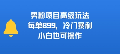 男粉项目高级玩法，每单899，冷门暴L，小白也可操作