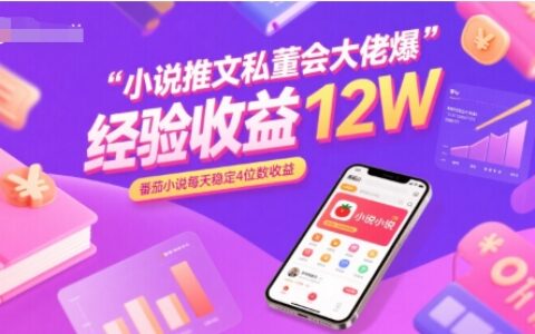 小说推文私董会大佬爆单经验分享收益12W，番茄小说每天稳定4位数收益