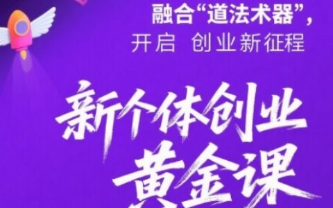 新个体创业黄金课：道法术器四维抢占2025红利
