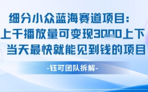 小众蓝海赛道项目：当天变现1k+适合新手操作 +适合长期玩