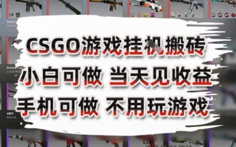 CSGO游戏挂G搬砖，小白纯手机即可操作，不用电脑打游戏，日入3张+，副业网创项目