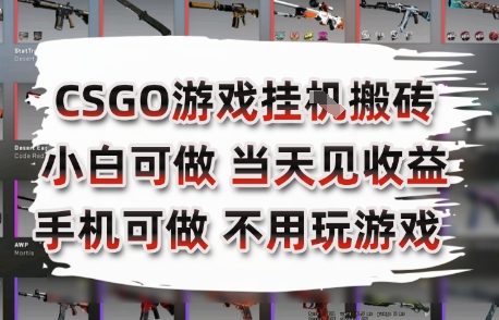 CSGO游戏挂G搬砖，小白纯手机即可操作，不用电脑打游戏，日入3张+，副业网创项目