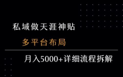 私域做天涯神贴 多平台布局 月入5k+详细流程拆解