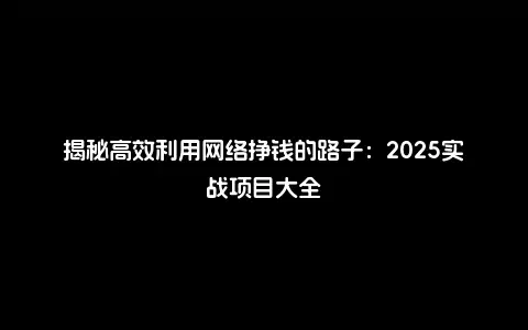 揭秘高效利用网络挣钱的路子：2025实战项目大全