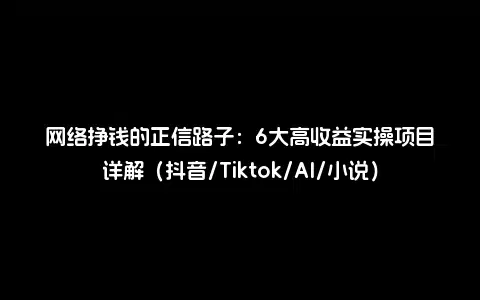 网络挣钱的正信路子：6大高收益实操项目详解（抖音/Tiktok/AI/小说）