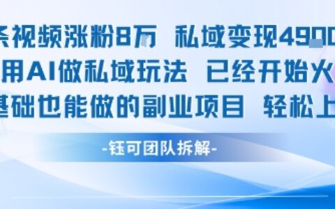 单条视频私域变现4.9k+利用AI做私域玩法 已经开始火热0基础也能做的副业项目轻松上手
