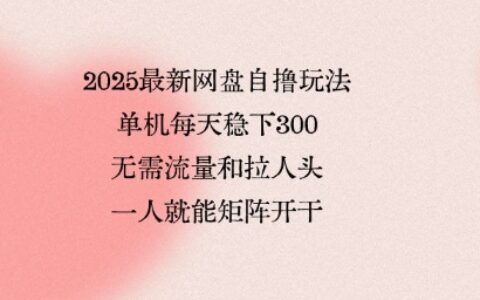 2025最新网盘自撸玩法，单机每天稳下3张，无需流量和拉人头，一个人就可轻松矩阵，全网独一份