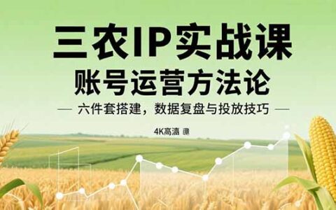 三农IP实战课：账号运营方法论，六件套搭建，数据复盘与投放技巧