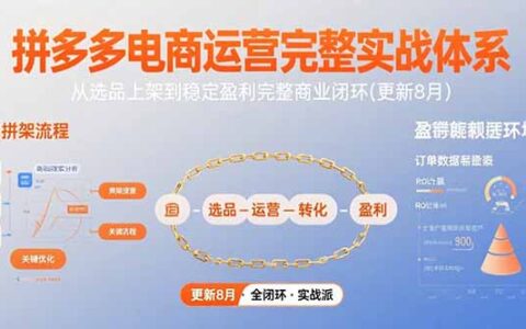 拼多多电商运营完整实战体系，从选品上架到稳定盈利完整商业闭环(更新8月)