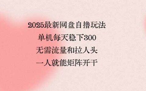 2025最新网盘自撸玩法，单机每天稳下3张，无需流量和拉人头，一个人就...
