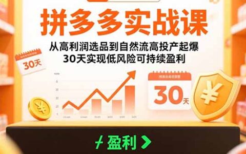 拼多多实战课：从高利润选品到自然流高投产起爆 30天实现低风险可持续盈利