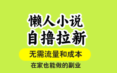 懒人小说自撸拉新，无需流量，一个账号一条作品就可以打爆收益，在家也...