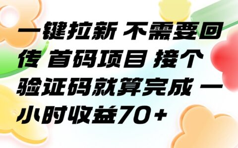 一键拉新 不需要回传 首码项目 接个验证码就算完成 一小时收益70+