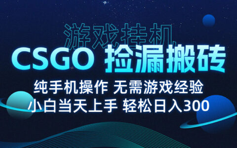 8月最新游戏搬砖，CSGO纯挂G，不需要玩游戏，实现真挂G，月入1W+
