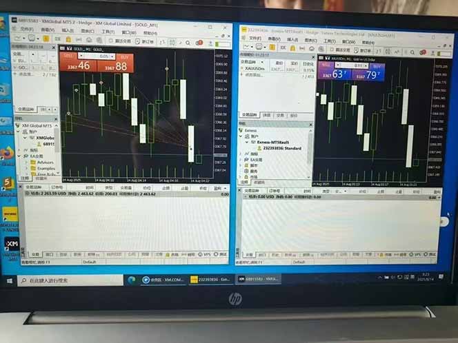 美金对冲创业项目，日收益1000-3000，小众爆栗项目稳定运行8年