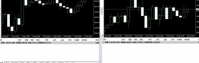 美金对冲创业项目，日收益1000-3000，小众爆栗项目稳定运行8年
