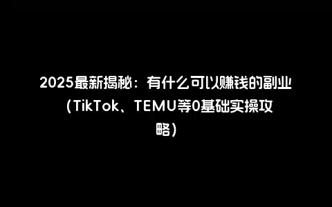 2025最新揭秘：有什么可以赚钱的副业（TikTok、TEMU等0基础实操攻略）